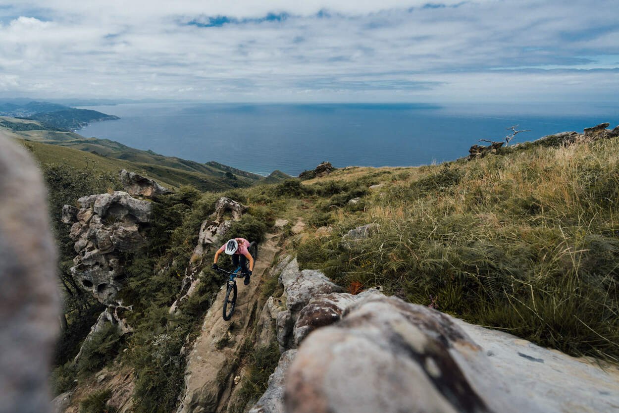 ION Tee SS Seek DR 2.0 WMS 2021