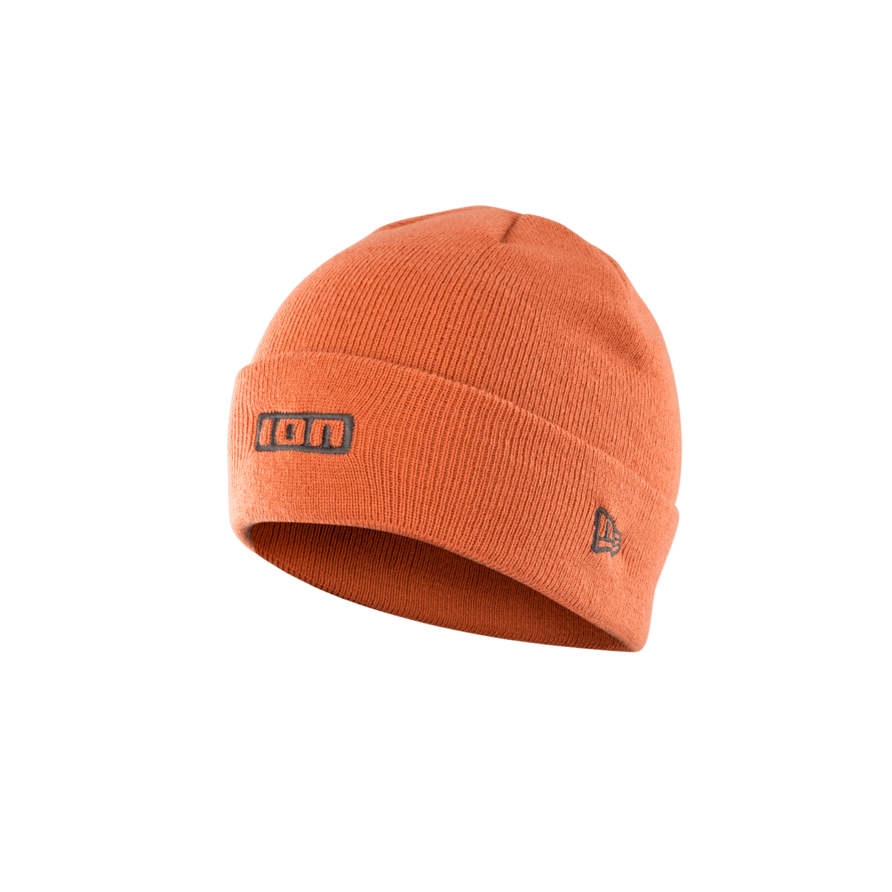 ION Beanie Logo 2024