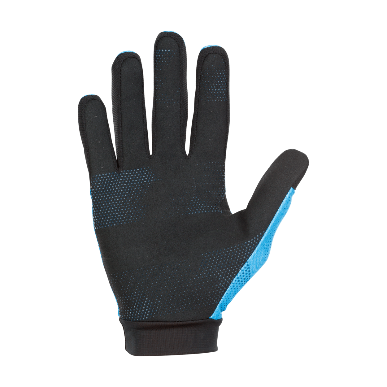 ION Gloves Scrub 2021