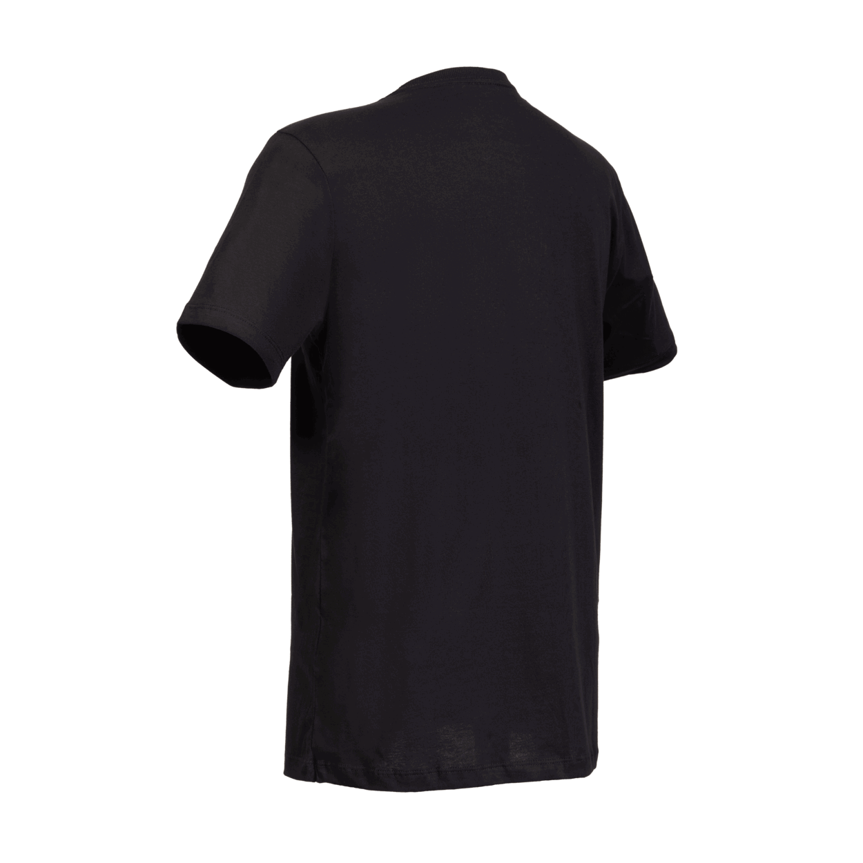 ION Tee Logo BRA SS men 2025