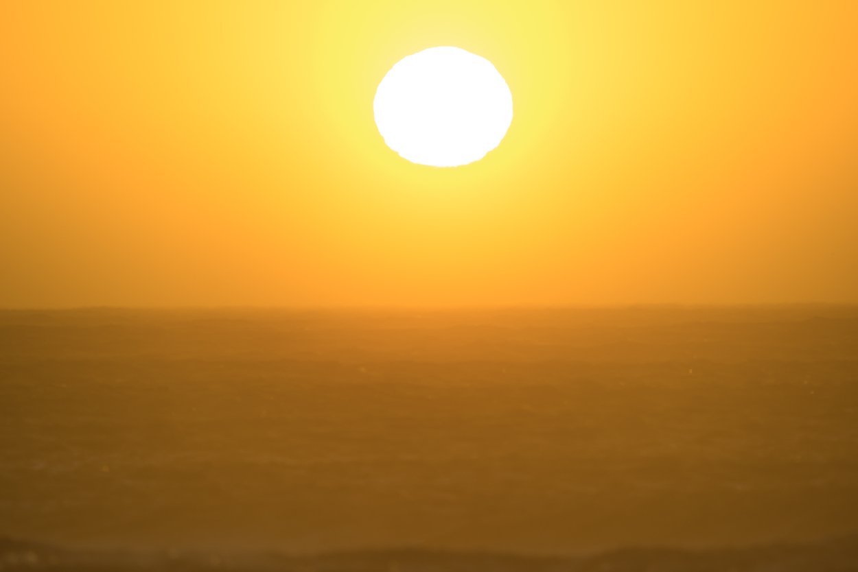 ION Men Wetsuit Element 4/3 Overknee Longsleeve Back Zip 2023