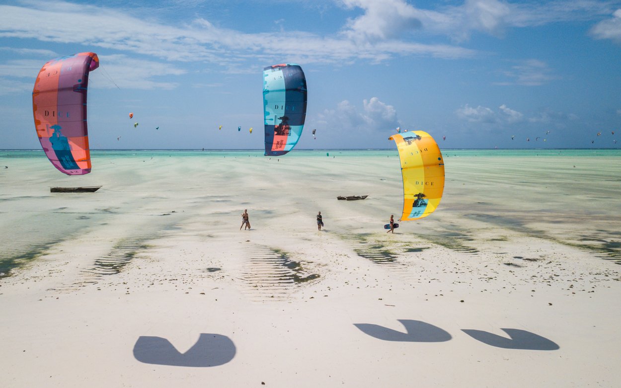 Duotone Dice 2019 2019